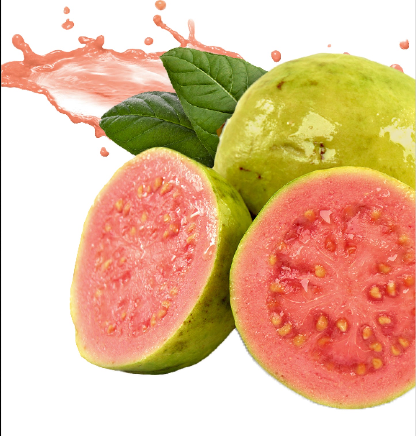 Guava 44 LBS PKG