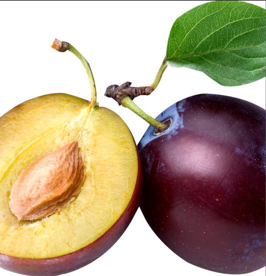 Plum 11 LBS PKG