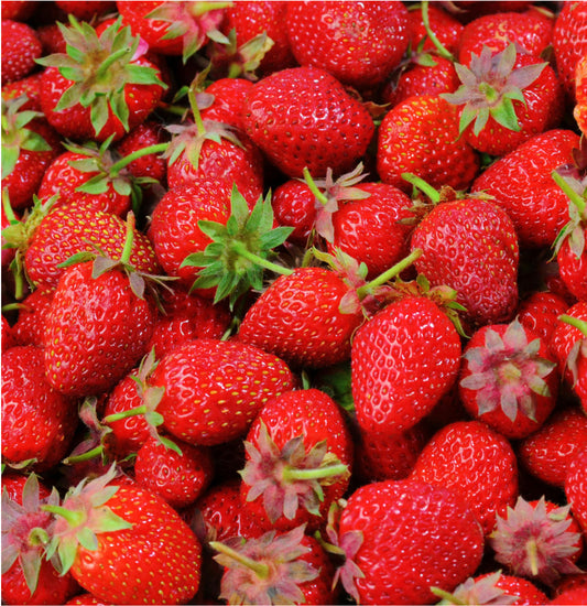 Strawberry 44 LBS PKG