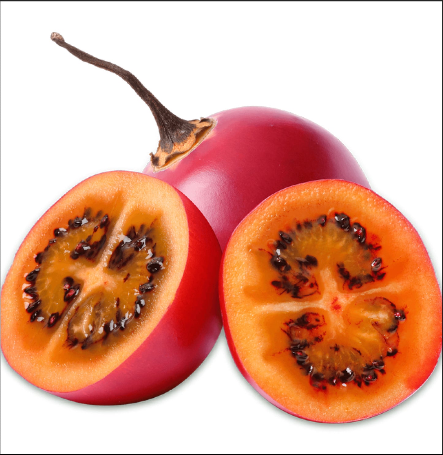 Tamarillo 44 LBS PKG